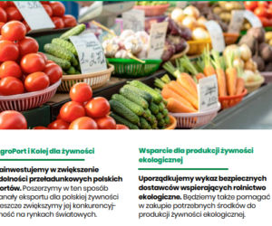 Polski Ład dla polskiej wsi