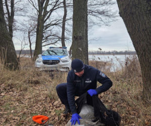 Nietypowa akcja ratunkowa w gminie Osieczna. Uratowali żurawia leżącego na lodzie