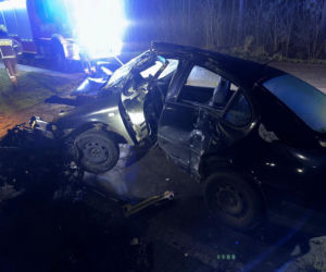 Z impetem uderzył w ogrodzenie w Ziemnicach niedaleko Leszna. Tyle zostało z pojazdu