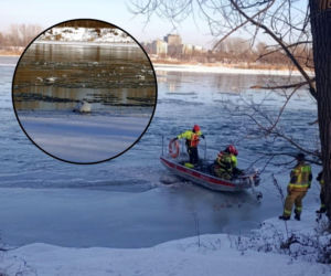 Nietypowa akcja ratunkowa na Wiśle. Służby ruszyły z pilną pomocą