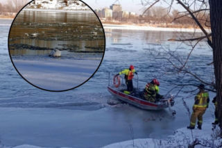 Nietypowa akcja ratunkowa na Wiśle. Służby ruszyły z pilną pomocą