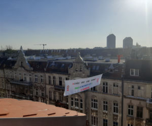 Czerwone wdowy na dachach wrocławskich kamienic