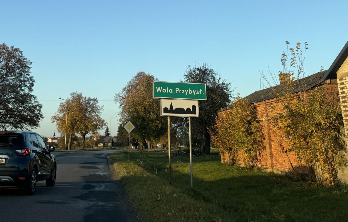 Niesamowite, co wydarzyło się pod Lublinem! Myszołów przeżył zderzenie z samochodem
