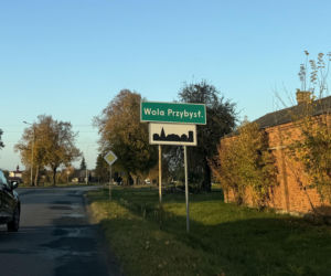 Niesamowite, co wydarzyło się pod Lublinem! Myszołów przeżył zderzenie z samochodem