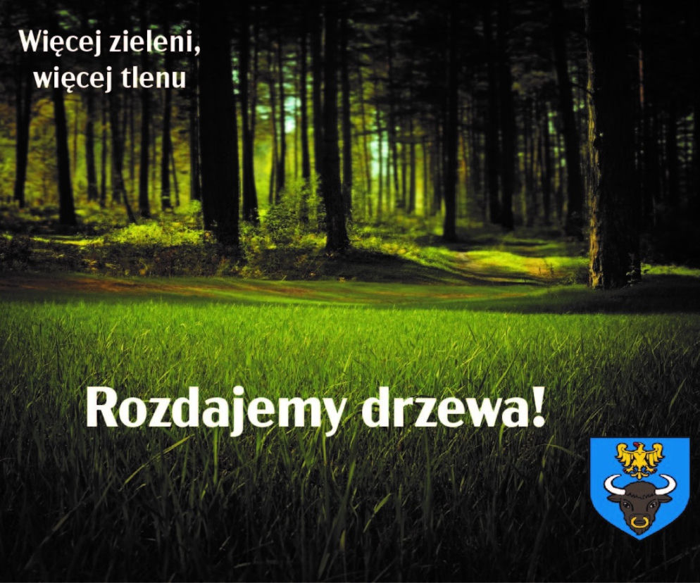 Darmowe sadzonki na rynku
