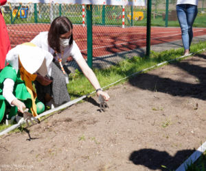 Białystok. Łąki kwietnie przy szkołach i przedszkolach. Miasto rusza z nowym programem