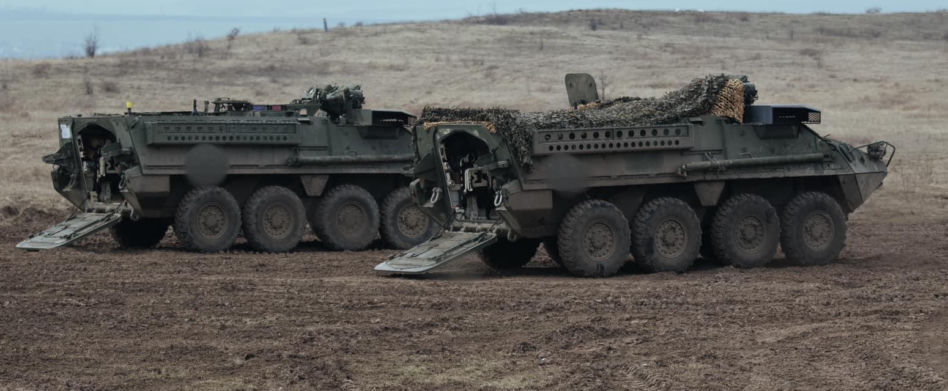 Transportery Stryker na Ukrainie