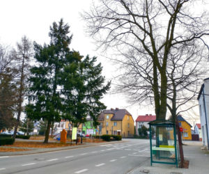 To najpiękniejsze miasteczko województwa łódzkiego. Leży nad jedną z najdłuższych rzek w Polsce