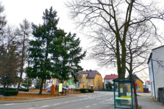 To najpiękniejsze miasteczko województwa łódzkiego. Leży nad jedną z najdłuższych rzek w Polsce