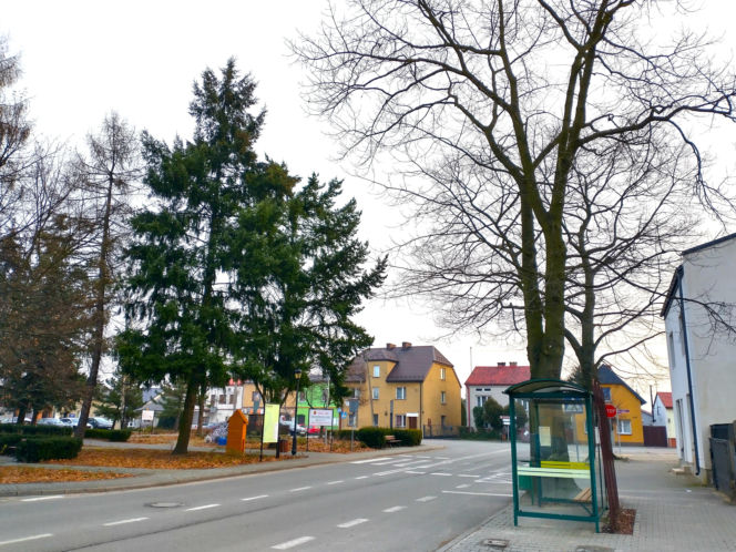 To najpiękniejsze miasteczko województwa łódzkiego. Leży nad jedną z najdłuższych rzek w Polsce