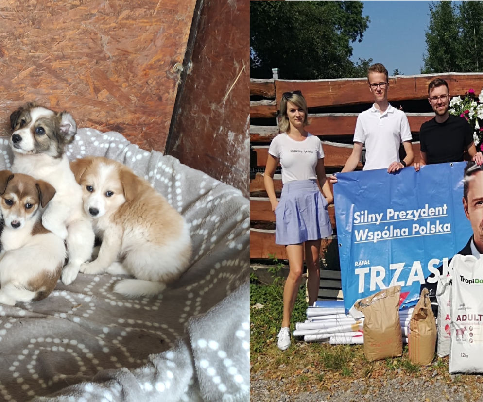 Banery Trzaskowskiego i Hołowni posłużą w schronisku Rudnik