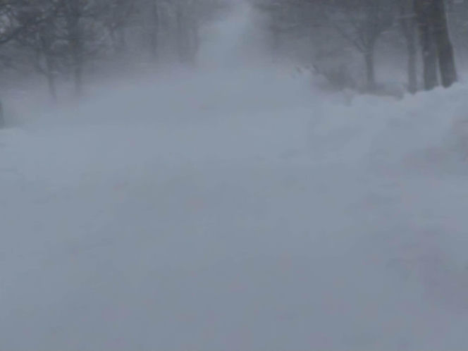 Śnieżyca w powiecie sławieńskim. Wiele dróg jest nieprzejezdna