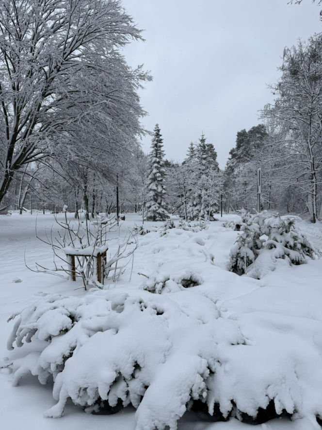 Sroga zima ponownie uderzyła na Pomorzu