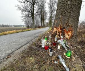 Na zakręcie pojechali prosto, ze sobą wieźli dwa duże psy. Czy któryś z nich ugryzł kierowcę?