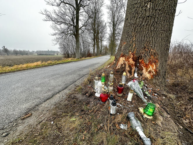 Na zakręcie pojechali prosto, ze sobą wieźli dwa duże psy. Czy któryś z nich ugryzł kierowcę?