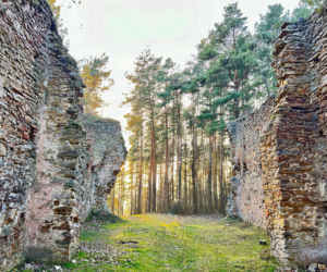 Tajemnicze ruiny w świętokrzyskim lesie. Budowla od stuleci rozpala wyobraźnię 
