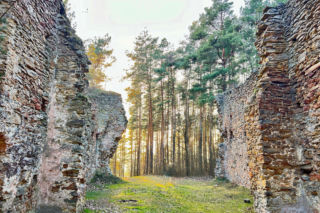 Tajemnicze ruiny w świętokrzyskim lesie. Budowla od stuleci rozpala wyobraźnię 