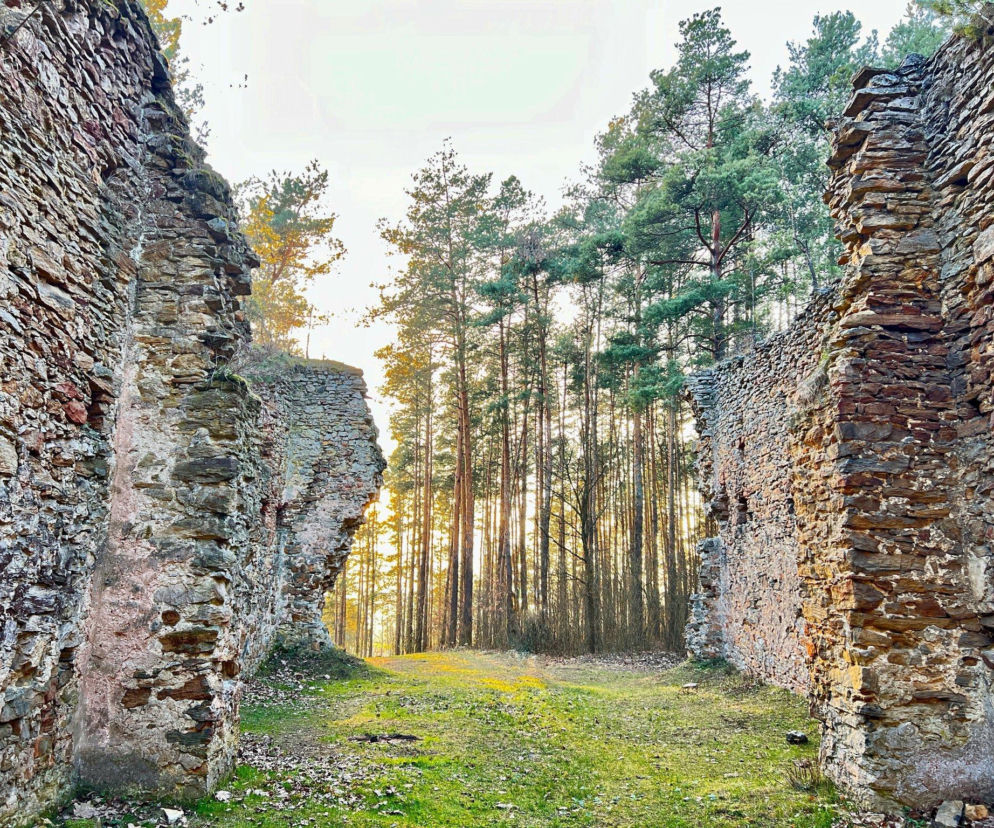 Tajemnica Góry Świętego Michała w Gruszczynie – ruiny, które milczą