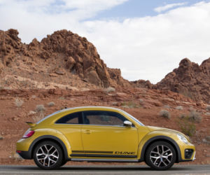 Volkswagen Beetle Dune