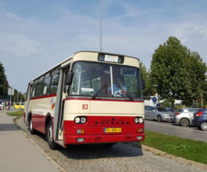 Wielki Piknik Aktywności i Pasji 