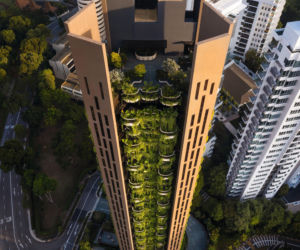 Zielone fasady odmieniają miasta