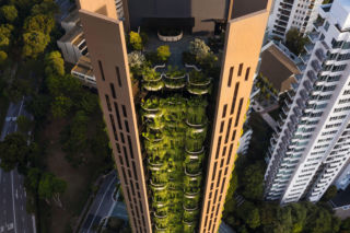 Zielone fasady odmieniają miasta