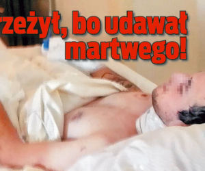 Przeżył bo udawał martwego