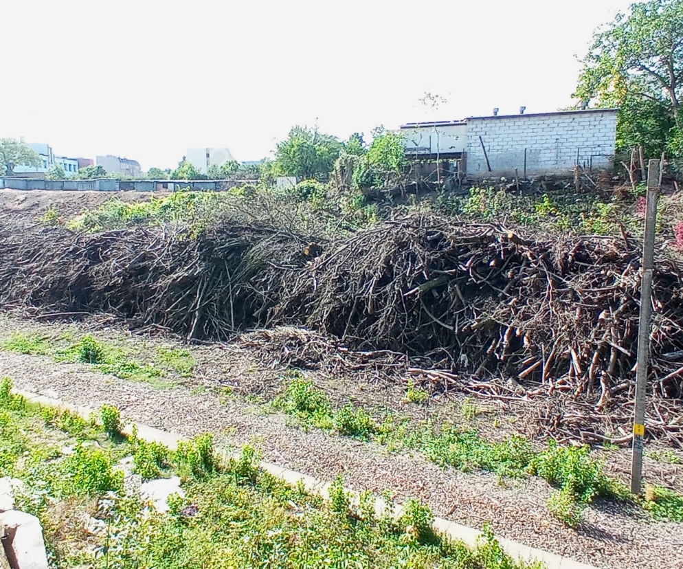 Wycinka drzew na stacji Szczecin Pomorzany