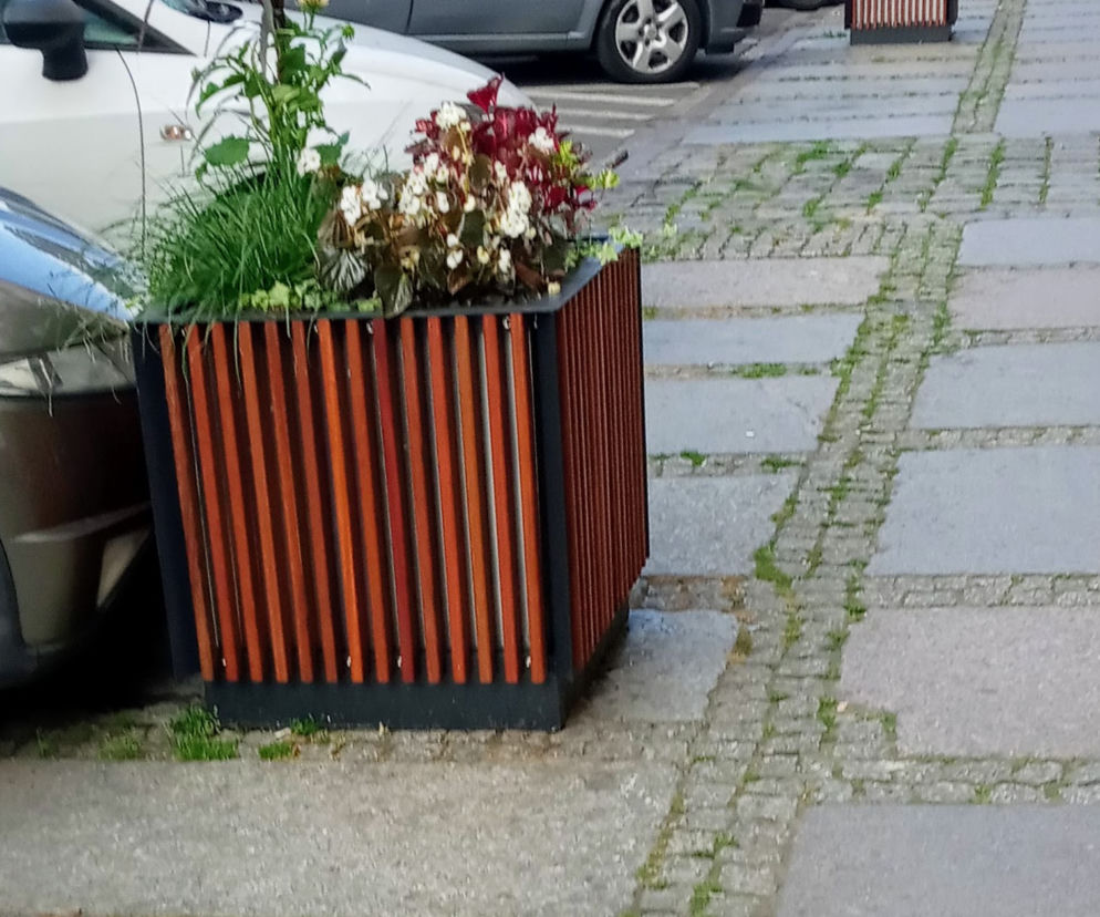 Donice na Rayskiego