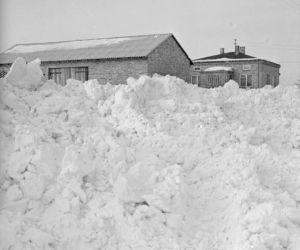Jak atak zimy w 1978/79 pamiętają mieszkańcy Bydgoszczy?