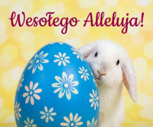 Wielkanoc2026-kroliczek-wychylajacy-sie-zza-pisanki