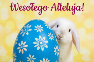 Życzenia na Facebooka i Instagrama na Wielkanoc 2026. Gotowe posty do skopiowania