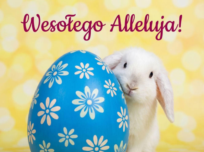Wielkanoc2026-kroliczek-wychylajacy-sie-zza-pisanki