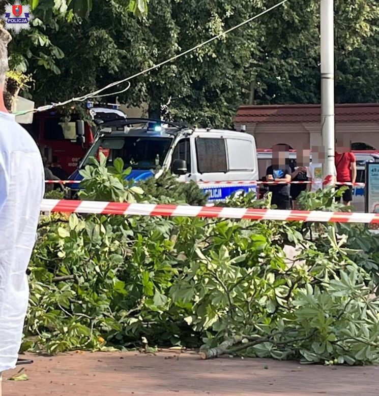 Zamość. Potężny konar runął na ludzi. 9 osób w szpitalu