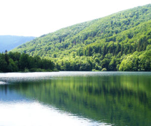 To najdziksze zakątki woj. śląskiego. Miejsca, o których nie masz pojęcia