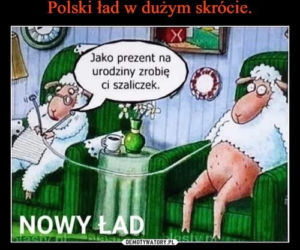 POLSKI ŁAD w oczach internautów. Zobacz najlepsze memy!