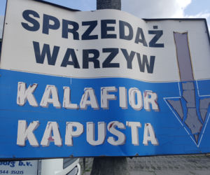 Targowisko Handlowe przy ulicy Łyskowskiego w Grudziądzu