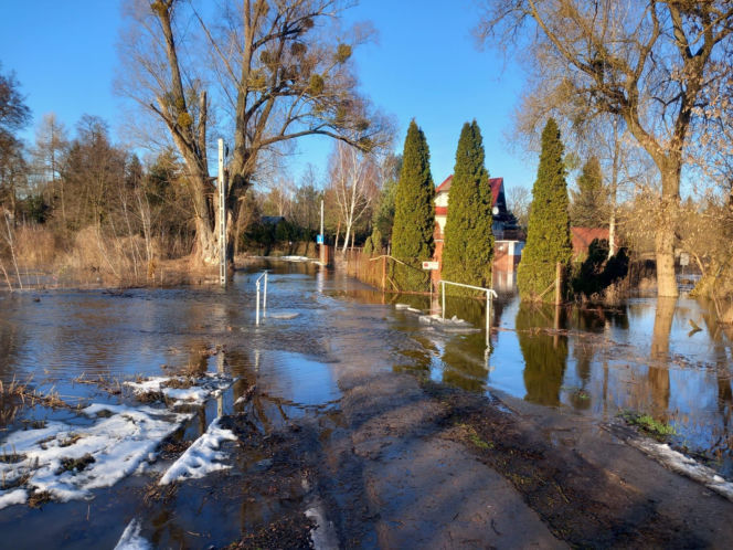 Przekroczenie poziomu alarmowego na Wkrze (26.02.2026)