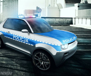 Ryś 126
