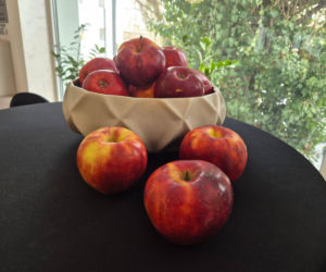 I Kongres Liderów Operacji Czysta Rzeka odbył się w Siedlcach w dniach 21 i 22 lutego 2026