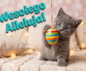 Darmowe kartki na Wielkanoc