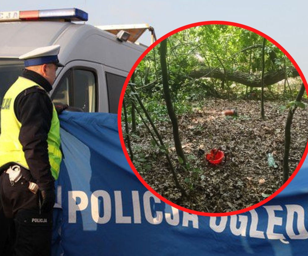 Pawłówka: Przerażająca tragedia w lesie. 40-latek nie żyje