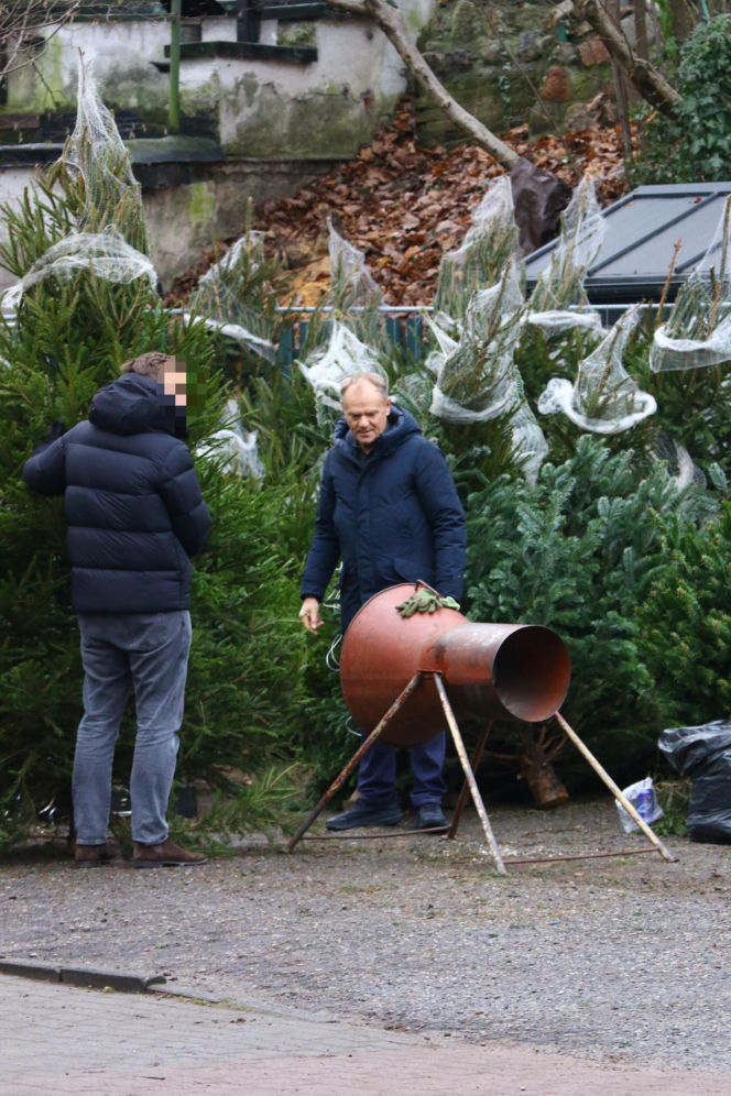 Donald Tusk z zięciem dźwigają gigantyczną choinkę. A za nimi drepcze Kasia z drugą. Wnusie premiera jak księżniczki