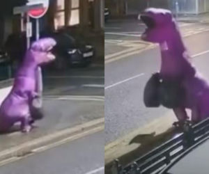 Trwają poszukiwania „fioletowego aspołecznego dinozaura”