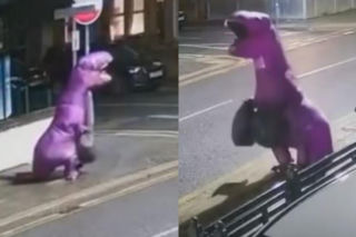 Trwają poszukiwania „fioletowego aspołecznego dinozaura”