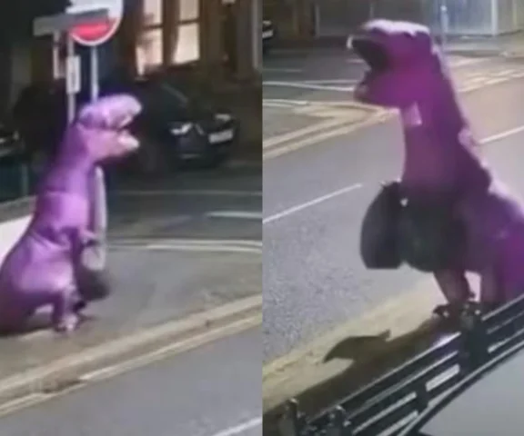 Trwają poszukiwania „fioletowego aspołecznego dinozaura”