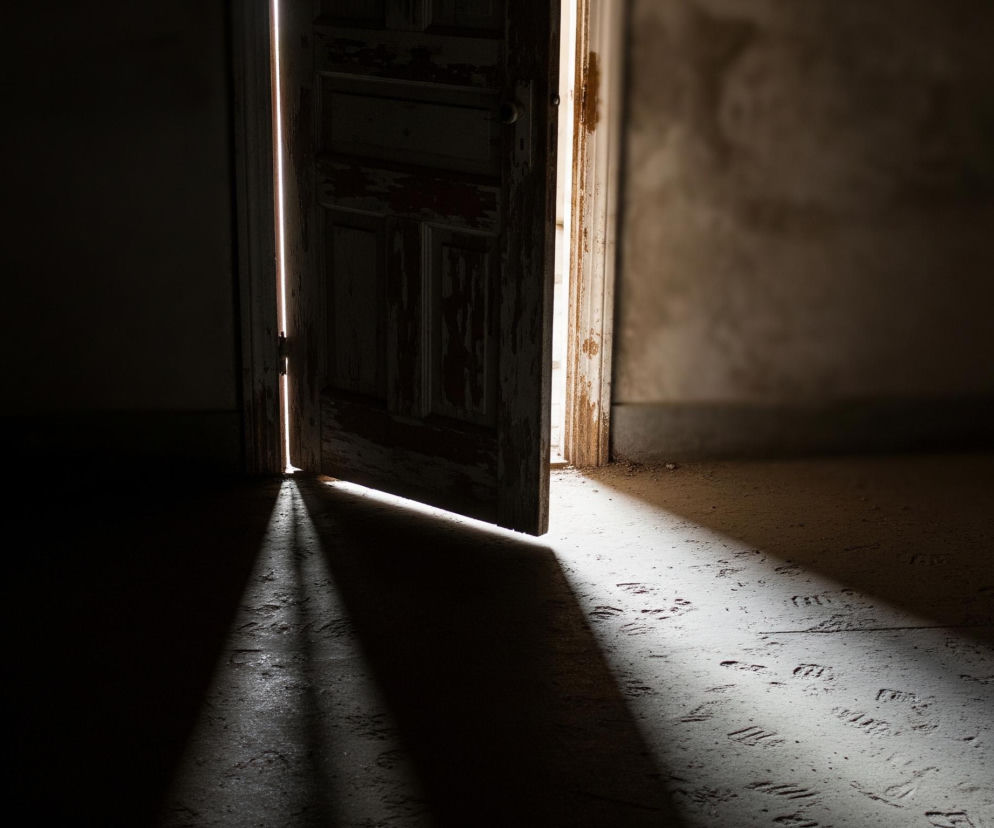 Na obrazie widoczne są otwarte, drewniane drzwi z widocznymi śladami łuszczącej się farby, przez które wpada jasne światło. Drzwi są uchylone, tworząc wyraźny snop światła padający na zakurzoną podłogę. Lewa część kadru i dalsza część pomieszczenia pozostają w głębokim cieniu, natomiast prawa strona i obszar oświetlony snopem światła ukazują szarobrązowe odcienie. Na oświetlonej części podłogi widoczne są liczne odciski stóp.