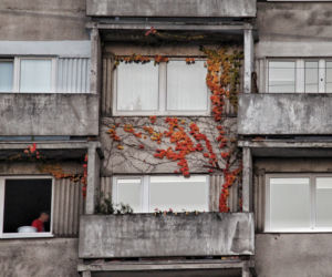 10 Na łódzkim Manhattanie