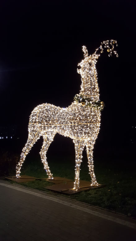 Świąteczne iluminacje w Łomży