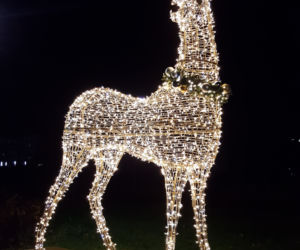 Świąteczne iluminacje w Łomży